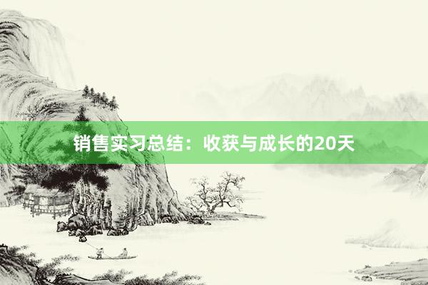 销售实习总结：收获与成长的20天